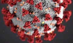 CDC Illustration of COVID-19 Virus