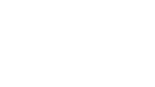 Vital Cyber Logo